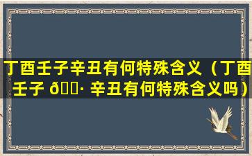 丁酉壬子辛丑有何特殊含义（丁酉壬子 🕷 辛丑有何特殊含义吗）